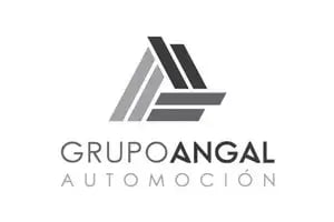 Logo-grupo-angal